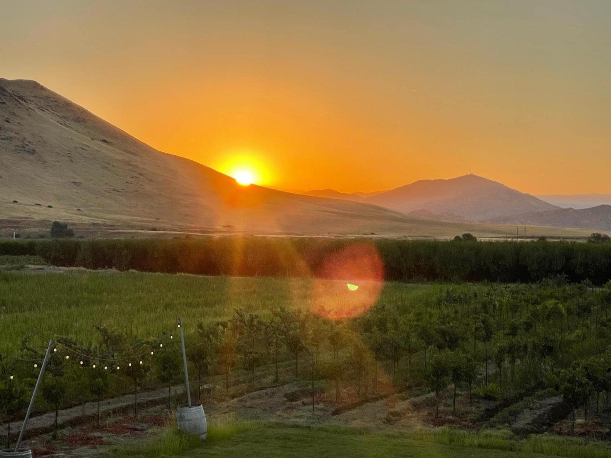 Bed and Breakfast Sequoia View Vineyard Sanger Exteriér fotografie